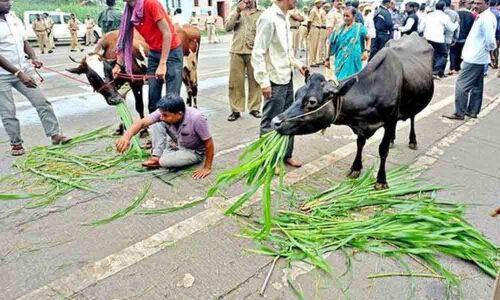 Dairy farmers protest seeking release of incentives in Bhongir