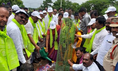 Protecting as vital as planting saplings