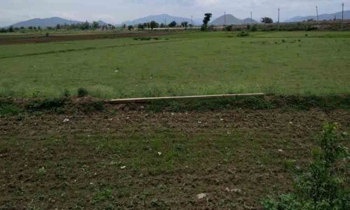 Farmers waiting for evasive rain in Srikakulam