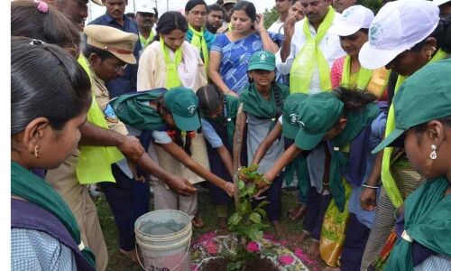 Collector Ayesha Masrat Khanam attends Haritha Haram drive
