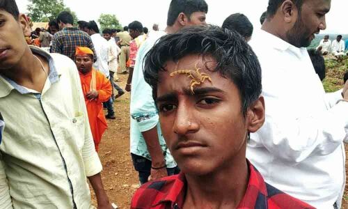 People have a ball with scorpions at this festival in Narayanpet