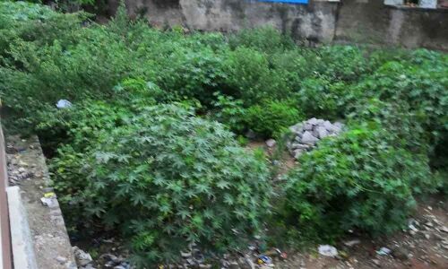 GHMC Park cries for attention