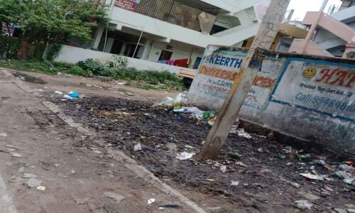 Residents on the edge over mosquito menace