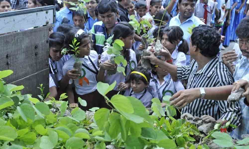 Kids to grow vegetables for midday meal scheme