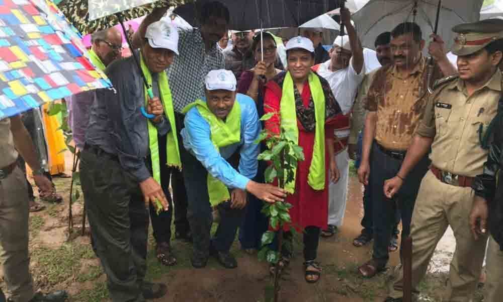 Call to conserve environment in Narsampet