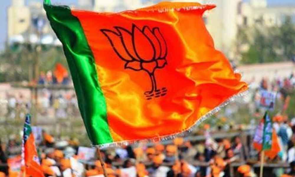 State BJP reins in Bill passage celebrations