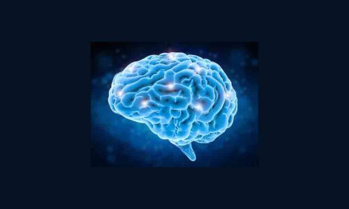 This device can manipulate brain cells using smartphone