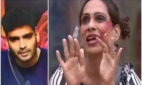 Bigg Boss Telugu Season 3: Episode 17 Highlights