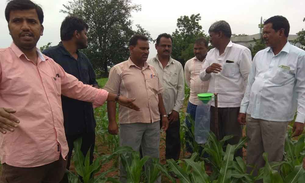 Farmers briefed on ways to tackle pests