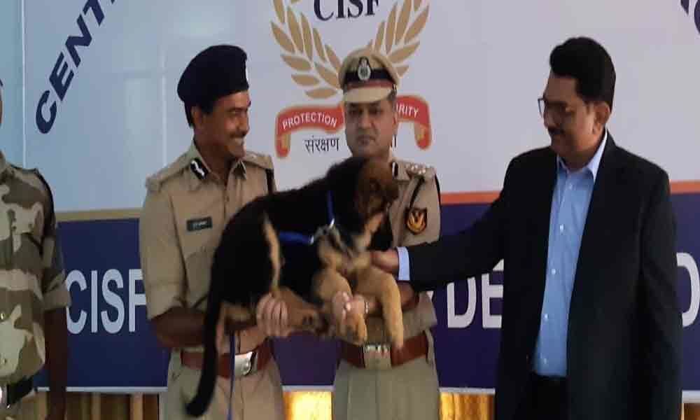 CV Anand gifts 3 German Shepard puppies to CISF