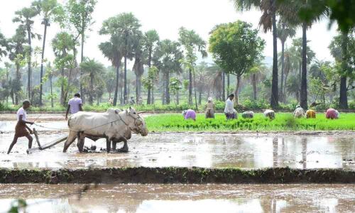 LIC hikes premium: CM K Chandrashekar Rao
