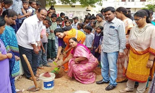 Call to plant saplings