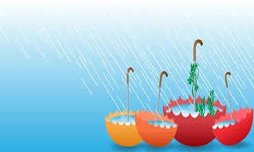 Save rainwater, people urged