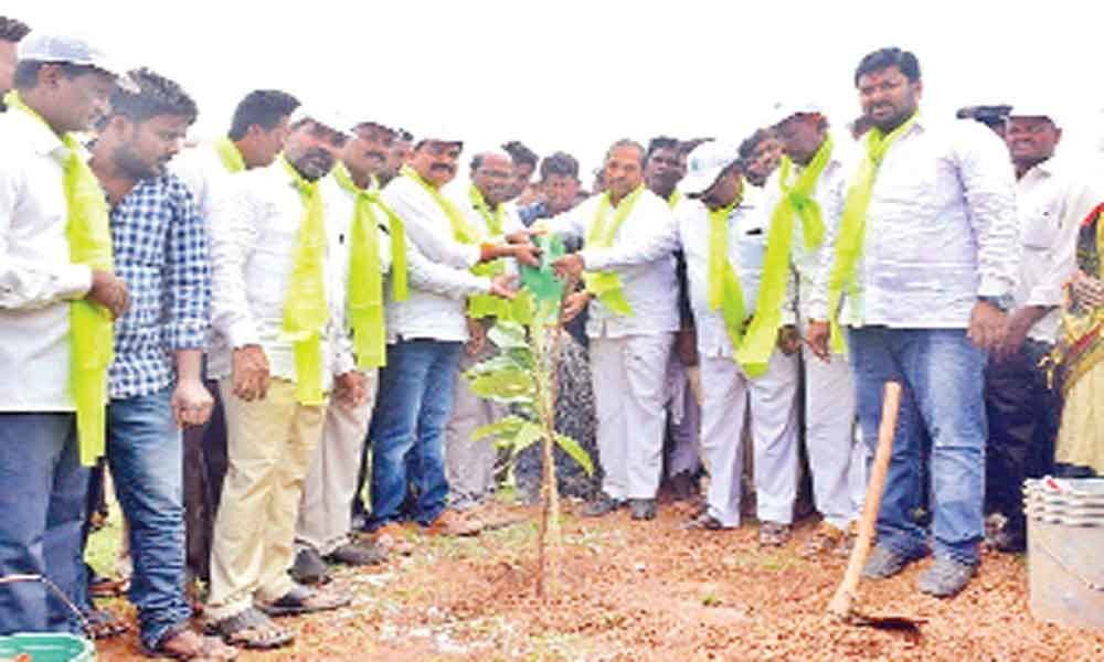MLA Manik Rao assures more funds for green drive