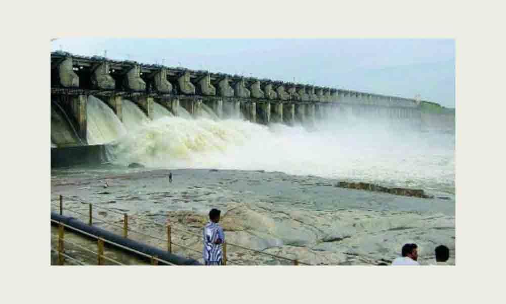 SRSP water level brings cheers to farmers in Nizamabad