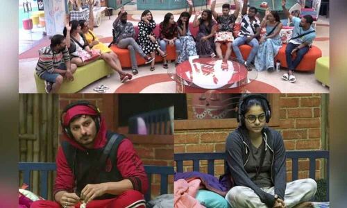 Bigg Boss Telugu: New Task for Punarnavi & Ali