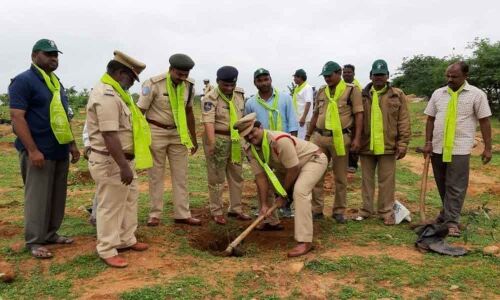 Police takes up huge green drive