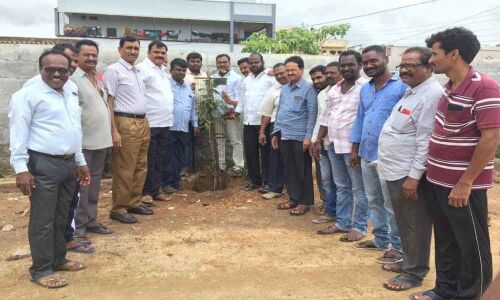 People urged to help expand greenery