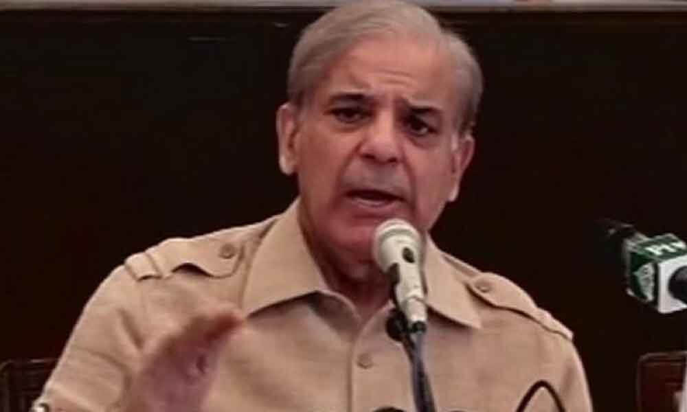 Maryams arrest distraction by government to hide failed Kashmir policy: Shehbaz Sharif
