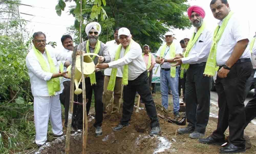 Plantation drive on 8-km stretch of highway begins in Peddapalli