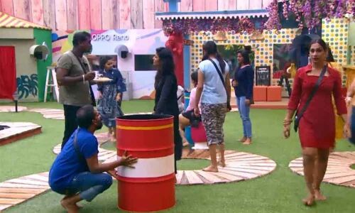 Bigg Boss Telugu Season 3:  Episode 20 Highlights