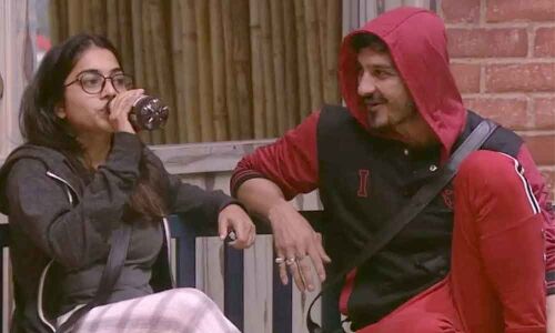 Bigg Boss Telugu: Ali Reza & Punarnavi Bhupalam Gains Immunity