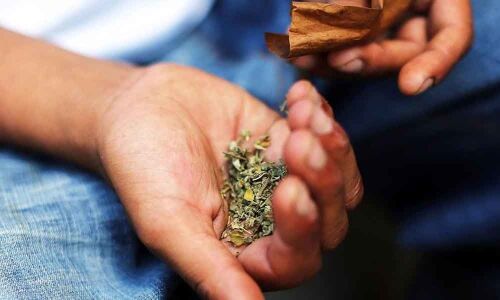 80 grams ganja seized from a student in Alwal PS limits