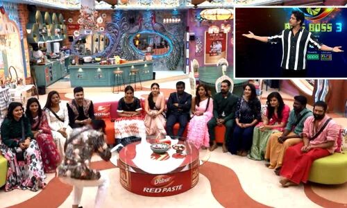 Bigg Boss Telugu Season 3: Episode 21 Highlights