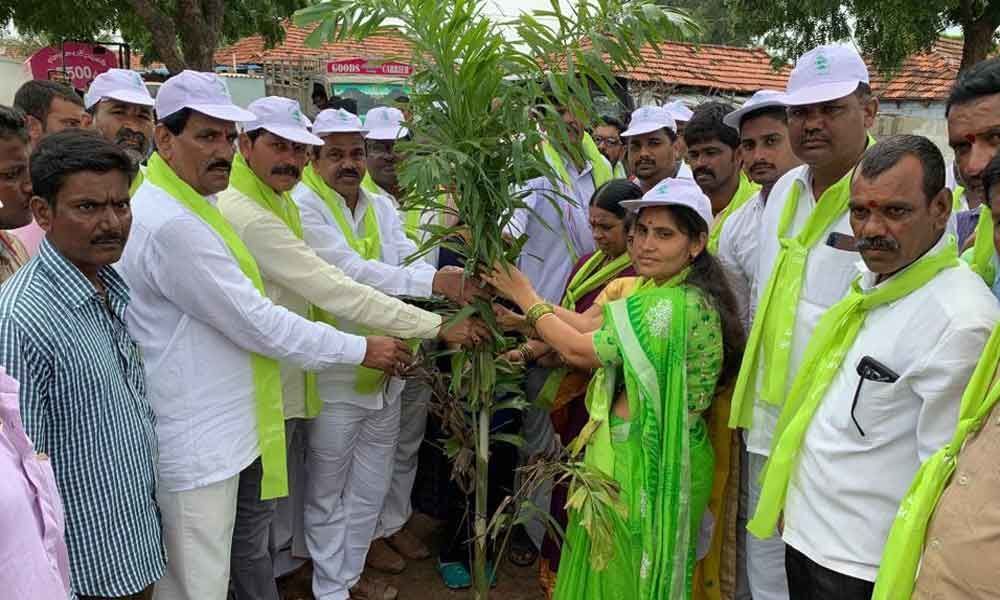 Grow trees, protect nature, pleads MLA Bhupal Reddy