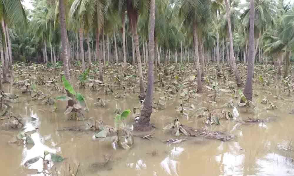 Godavari witnesses floods 34 times between 1953 and 2019