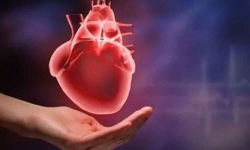 Light therapy can protect against cardiovascular diseases