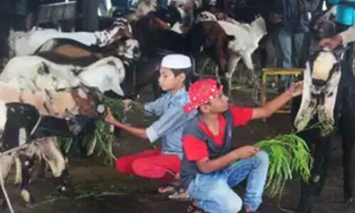 Eco-friendly measures taken up for Bakrid in Hyderabad