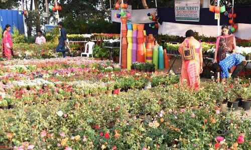 All India Nursery Mela kicks off on I-Day in city
