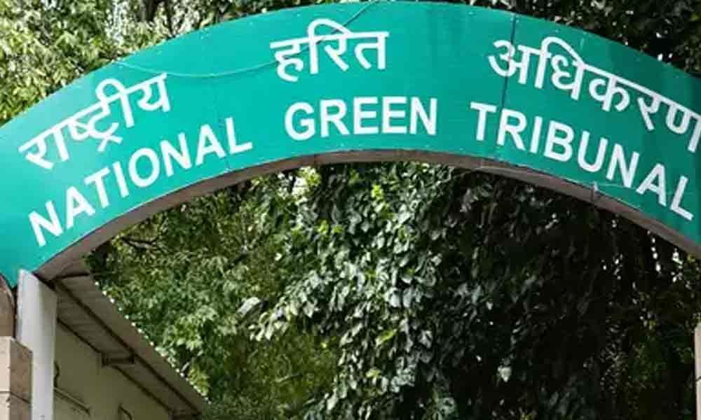 NGT seeks report on illegal constructions