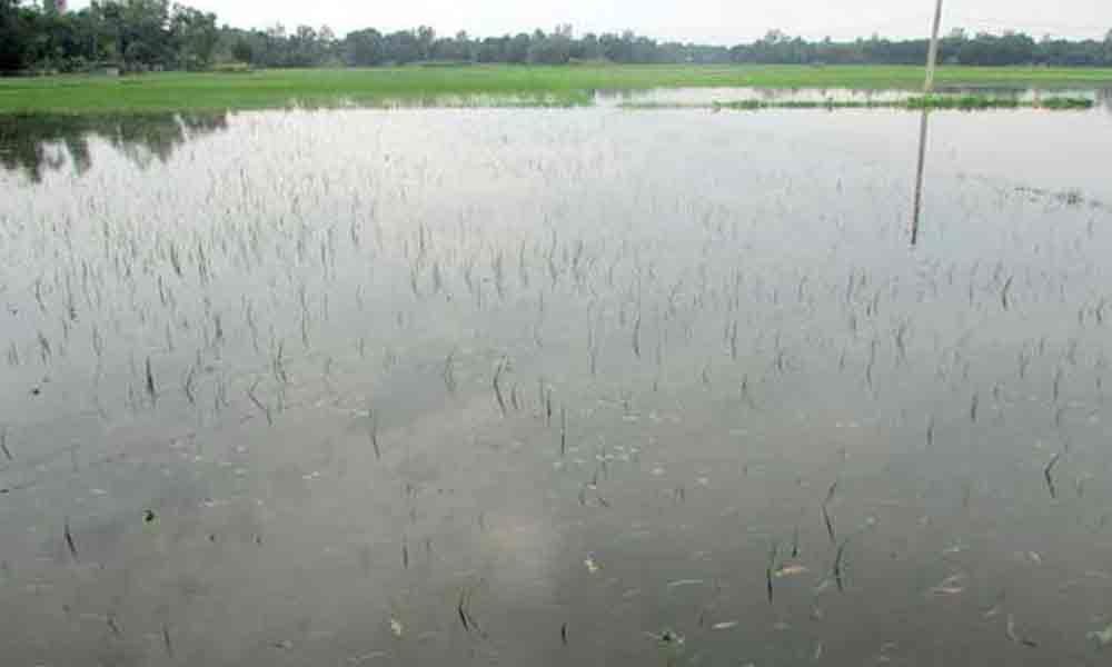 Villages, Agriculture fields inundate in flood waters