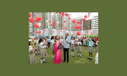 Plantation drive launched