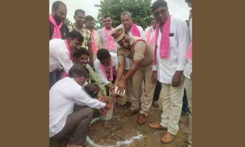 Everyone should plant at least one sapling