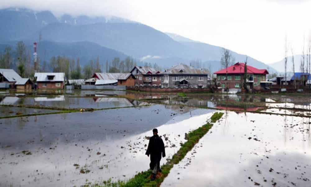 Kashmiri Pandits longing to return to their homeland