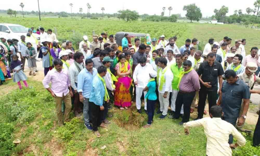 Suryapet comes alive with plantation of 1 lakh saplings in a day