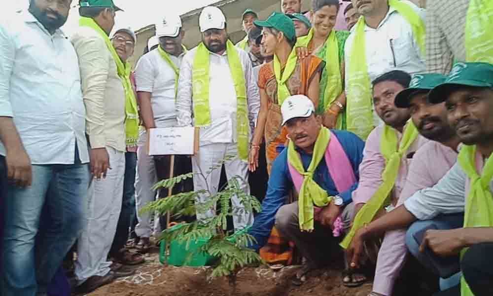 Plant saplings as a responsible citizen: MLA Atram Sakku