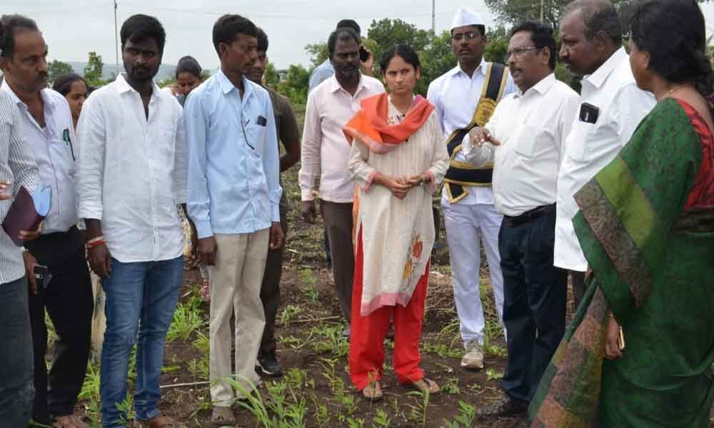 Grow more millets, Collector Ayesha Masrat Khanam tells farmers