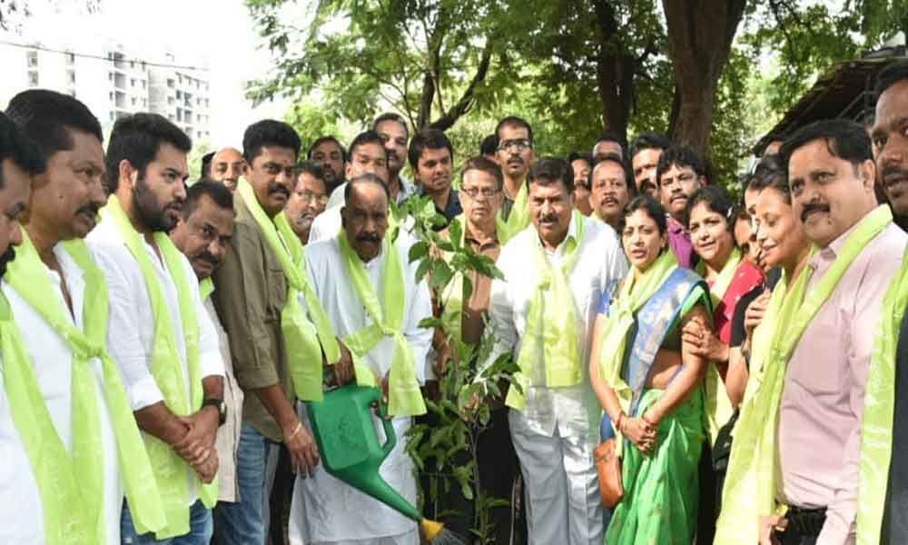 Tree plantation need of the hour: Naini Narsimha Reddy