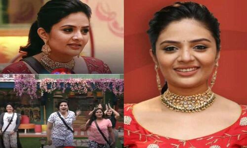 Bigg Boss Telugu Season 3: Netizens Trolling Sreemukhi