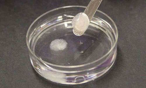 IIT, NIT researchers produce bone substitutes from egg shells