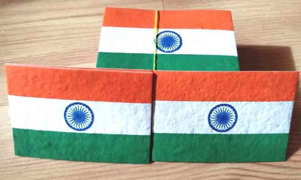 New Delhi : Engineer sells eco-friendly flags for 6 each