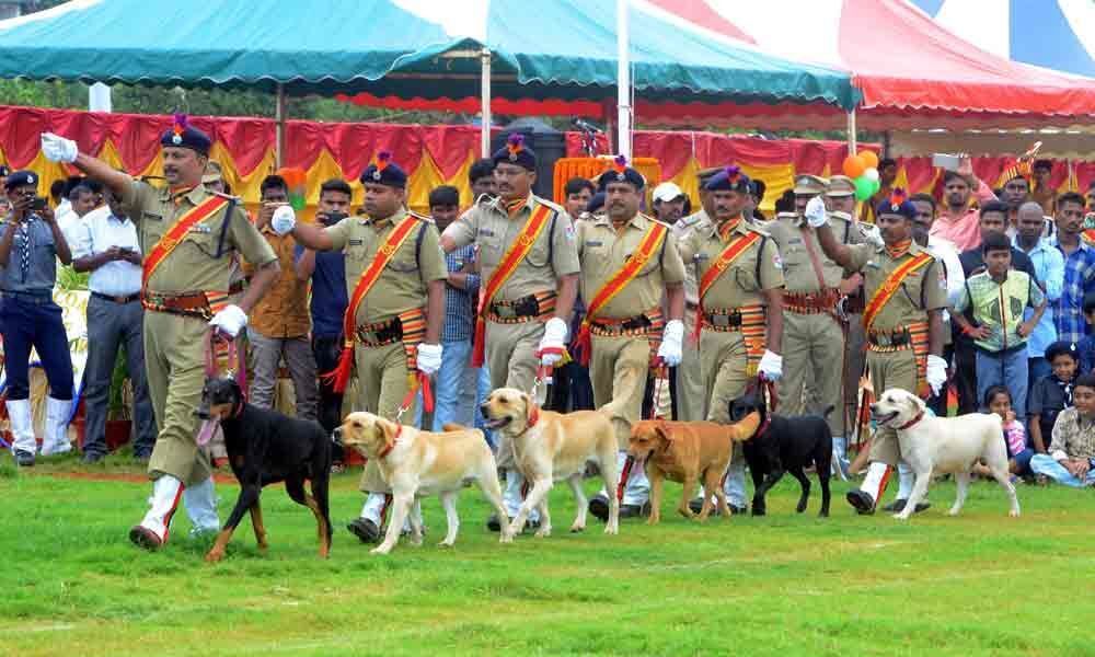 Dog show draws huge crowds in Visakhapatnam