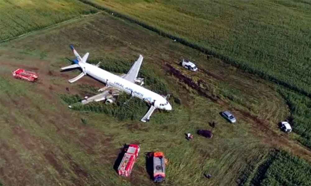 Russian plane lands in cornfield, pilots praised for saving 233 lives