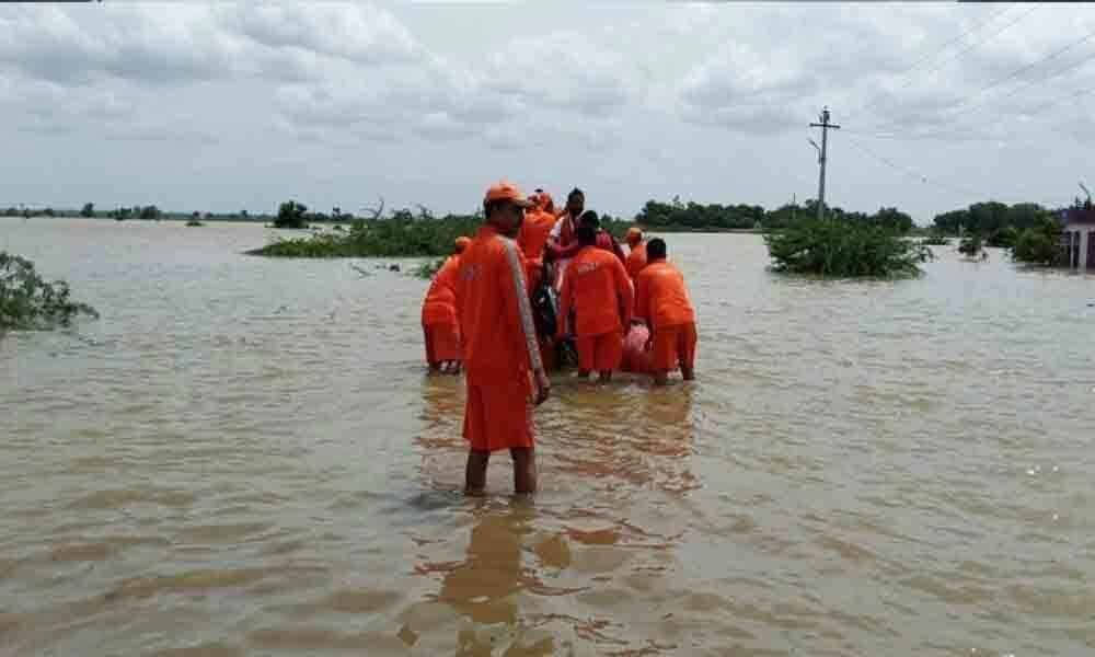 Floods cause Rs 163 lakh crop loss in Narayanpet