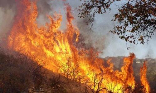 500 firefighters to battle blaze in French forest