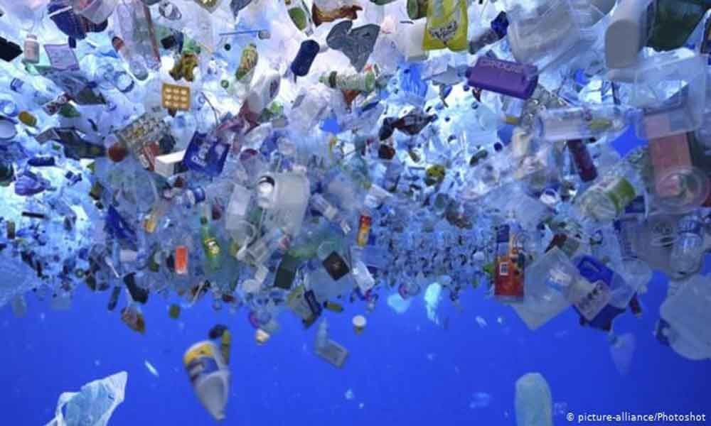 Denizens heartily cheer ban on single-use plastic